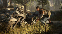 Sony Days Gone, PS4 Standard Mehrsprachig PlayStation 4