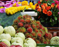 Sony Cyber-shot DSC-W830 1/2.3" Kompaktkamera 20,1 MP CCD 5152 x 3864 Pixel Silber