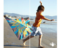 Sony Cyber-shot DSC-W830 1/2.3" Kompaktkamera 20,1 MP CCD 5152 x 3864 Pixel Silber