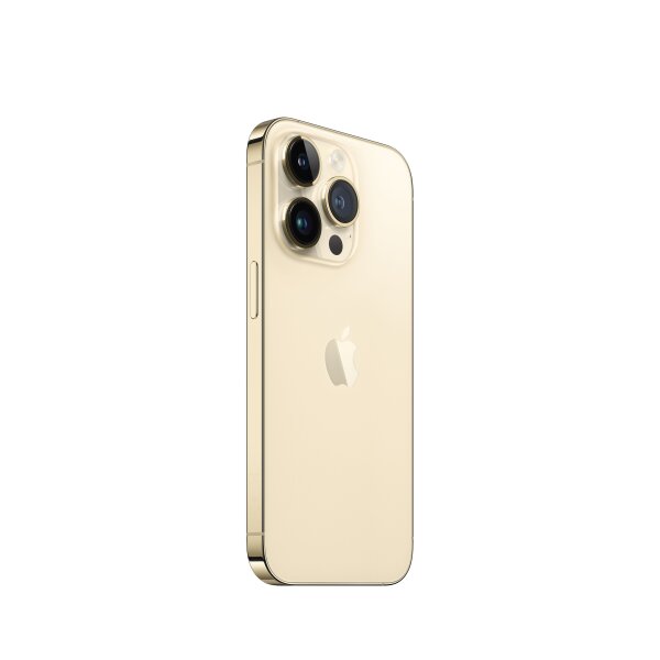 Apple iPhone 14 Pro (Demo) 15.5 cm (6.1") Dual SIM iOS 16 5G 128 GB Gold