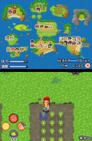 Rising Star Games Harvest Moon DS : Die Sonnenschein-Inseln Standard Deutsch Nintendo DS