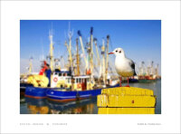 Tamron AF 18-200mm F/3.5-6.3 XR Di II LD SLR Schwarz