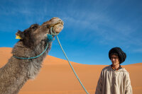 Tamron 16-300mm F/3.5-6.3 Di II VC PZD SLR Standardzoomobjektiv