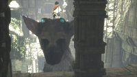 Sony The Last Guardian Standard Deutsch, Niederländisch, Englisch PlayStation 4