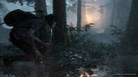 Sony Interactive Entertainment The Last of Us Part II Standard PlayStation 4