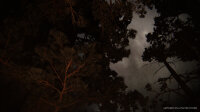 NEU The Last of Us Part II Standard PlayStation 5