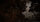 NEU The Last of Us Part II Standard PlayStation 5