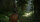 NEU The Last of Us Part II Standard PlayStation 5
