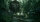 NEU The Last of Us Part II Standard PlayStation 5